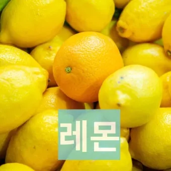레몬즙 효능_7