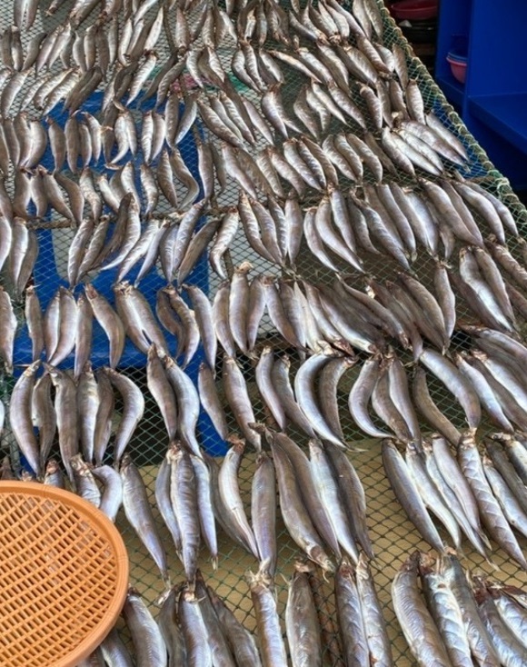 속초-양미리-반건조