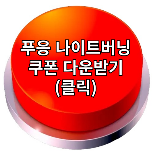 푸응 나이트버닝 내돈내산 후기