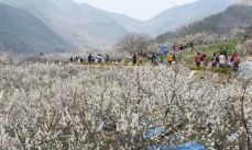 3월 국내 여행지 추천