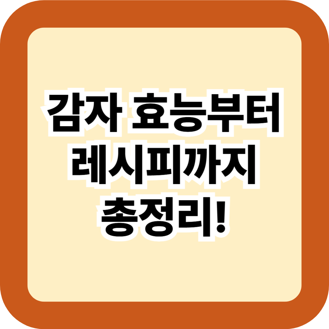 감자 효능부터 레시피까지 총정리! 홍감자·삶기·수확시기·조림·감자전 완벽 가이드