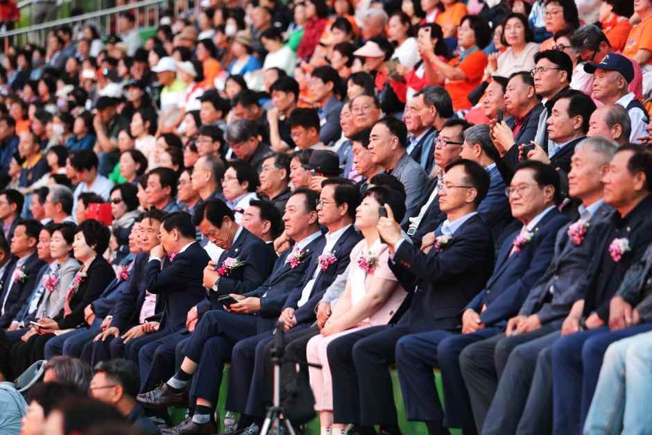 단양 소백산 철쭉 축제 2026 총정리