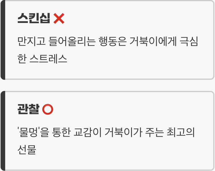 4. 강아지가 아니에요, 교감의 방식이 달라요