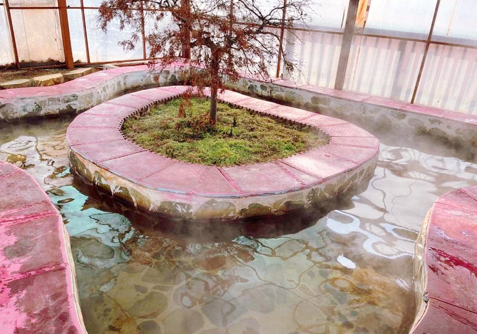 경기도 화성 율암온천6