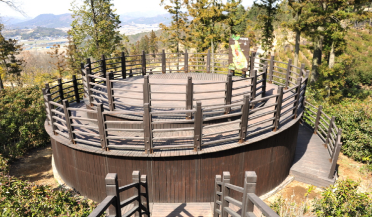 장흥 우드랜드 편백숲