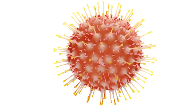 코로나 자가진단키트: 편의점 약국 구매, 재고 조회, 사용 방법, 가격
