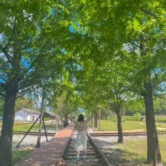 남원 가볼만한곳 추천 카페 맛집 반려견 숨은 명소_10
