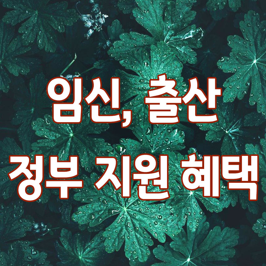 임신 출산 정부 지원 혜택