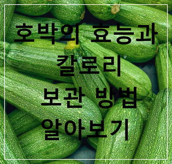 호박의 건강 효능과 칼로리&#44; 보관 방법 알아보기