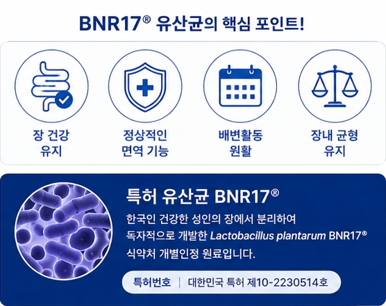 양배추백김치이미지