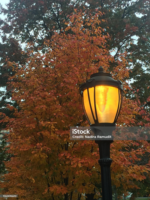 가을조명트렌드