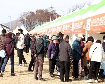 양촌 곶감축제_18