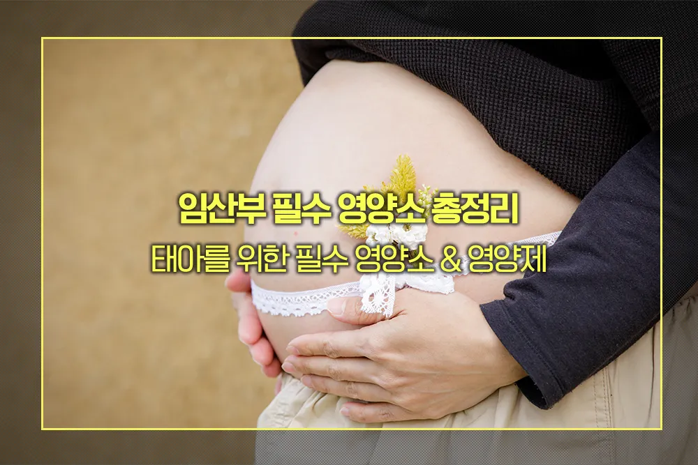 임산부 필수 영양소 영양제
