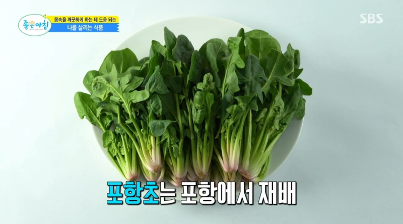 활성 산소 독소 배출 해독 팥 포항초