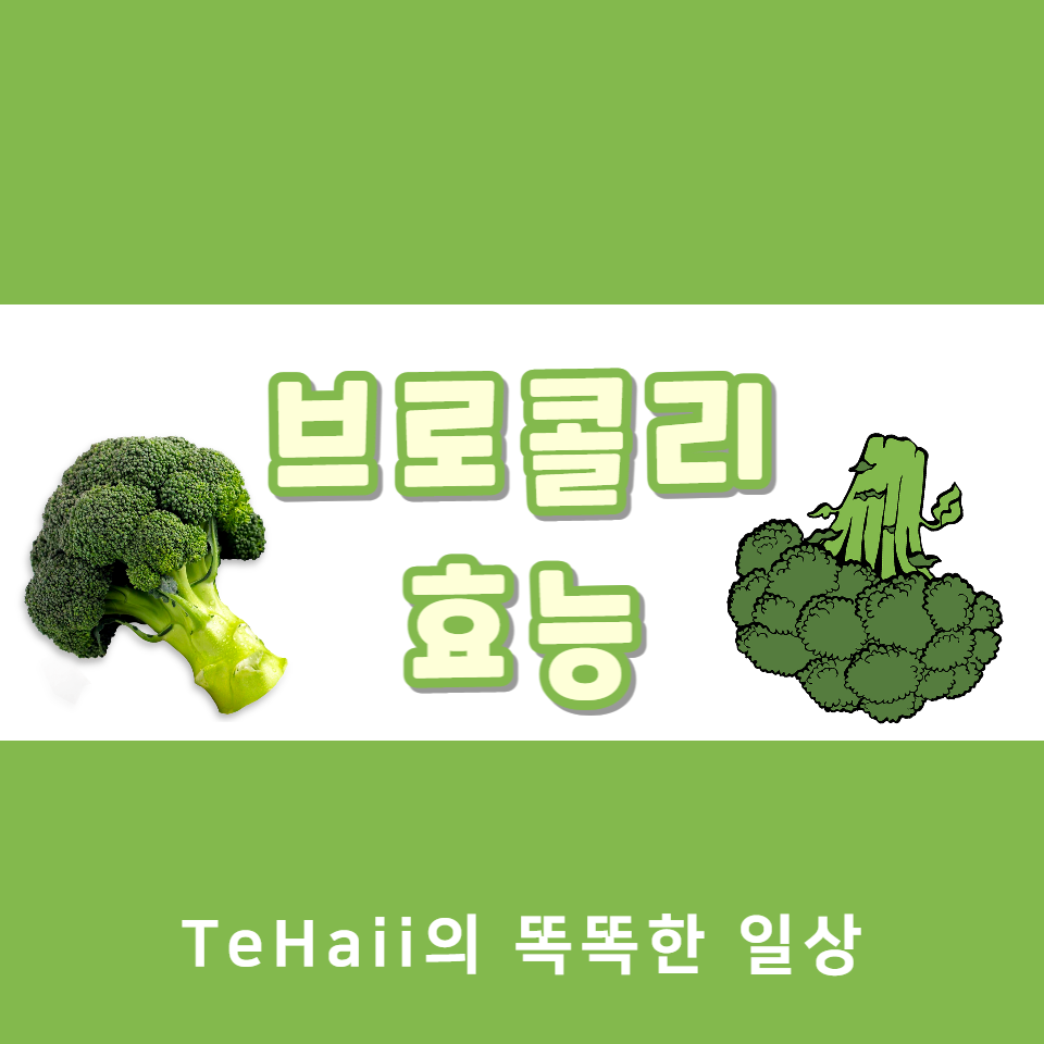 브로콜리 효능 대표사진