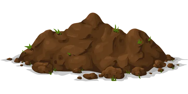 흙의 치유력: 진흙이 건강을 깨운다