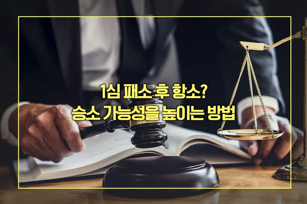 항소 승소 가능성을 높이는 방법