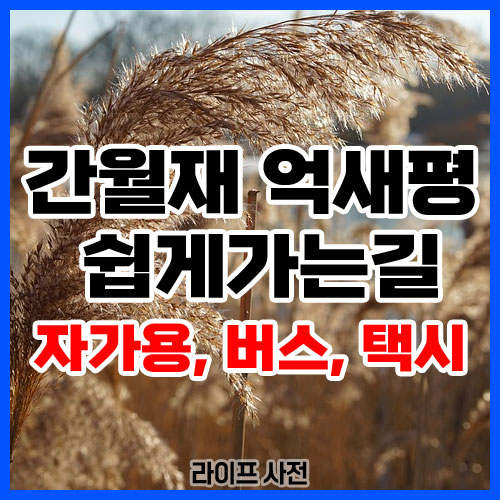 간월재 억새평원 쉽게가는길