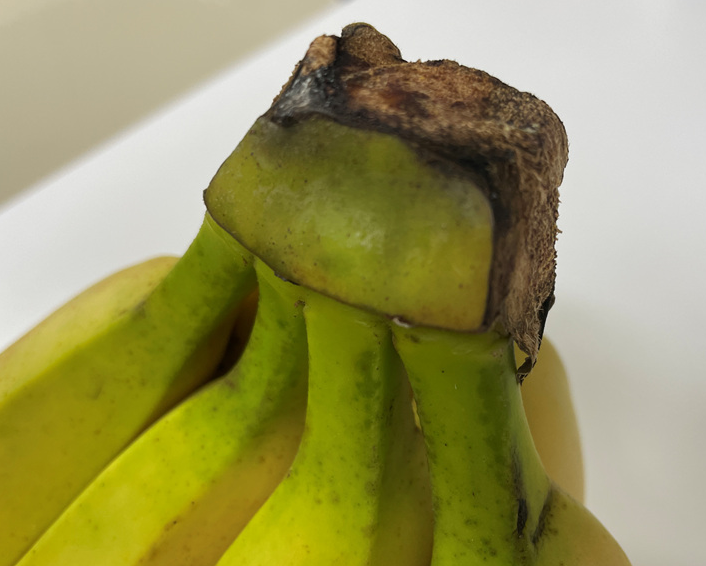 바나나 보관방법 호일