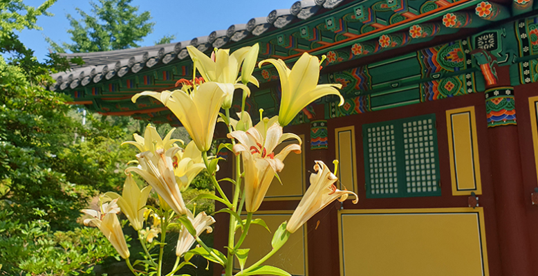 영평사6
