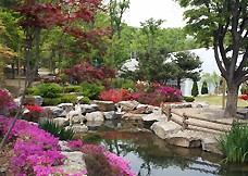 용인 아이와 가볼만한 곳 동천자연식물원