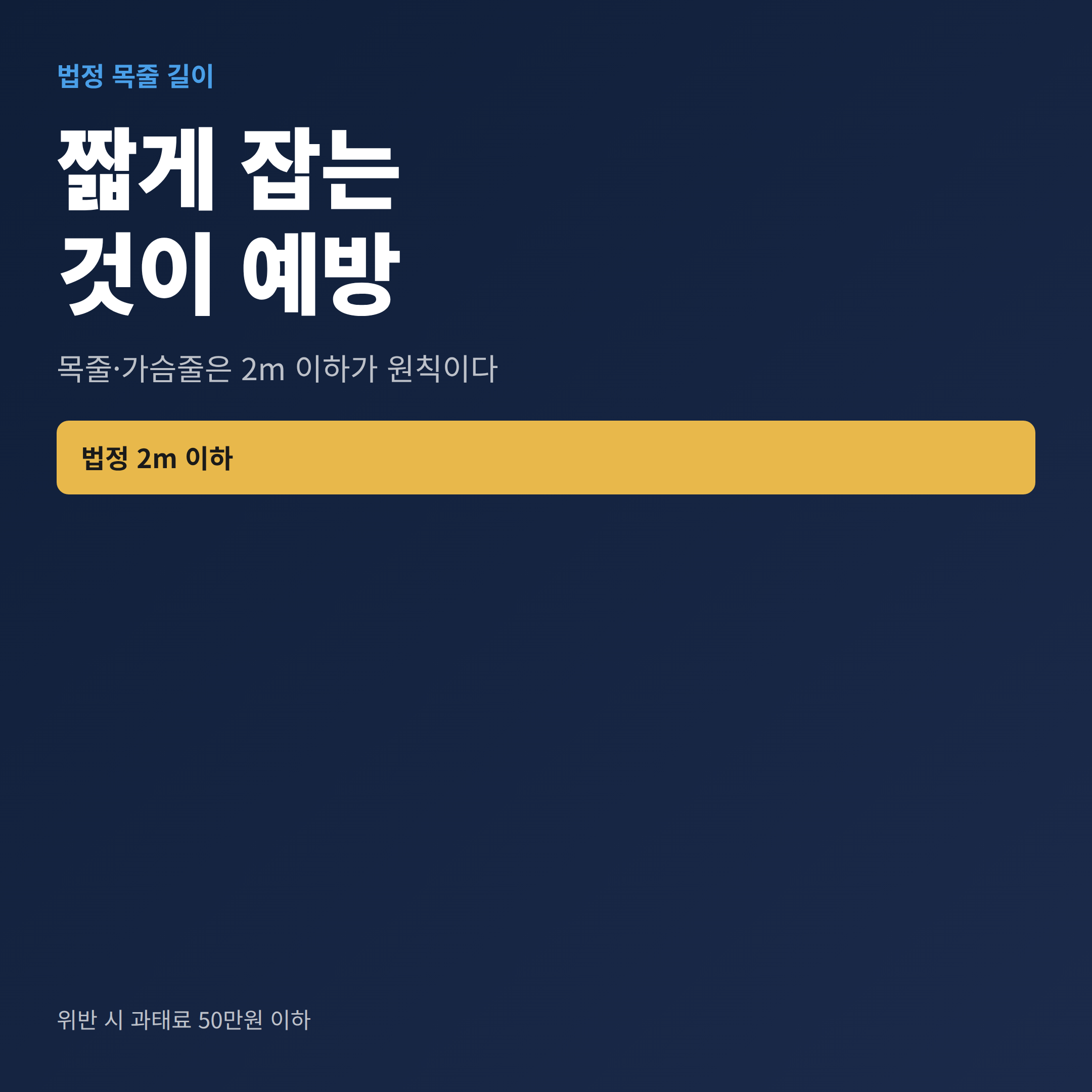 산책 시 목줄을 법정 기준인 2m 이하로 짧게 잡아야 한다는 내용을 강조한 안내 이미지
