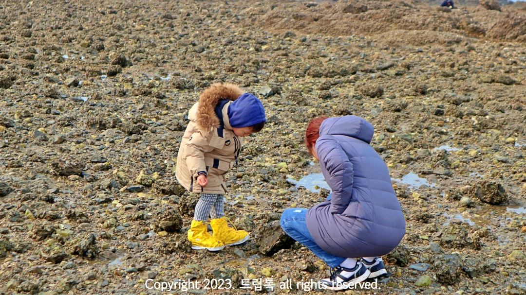 두 사람이 돌을 뒤집으며 관찰하고 있다