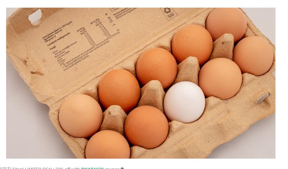 동일노동,동일임금,경졔,정책화