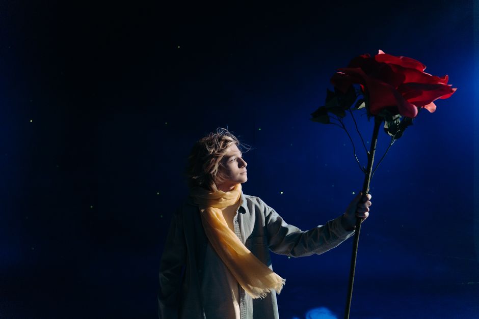 A young boy with a yellow scarf holds a giant red rose beneath a starry, blue night sky.