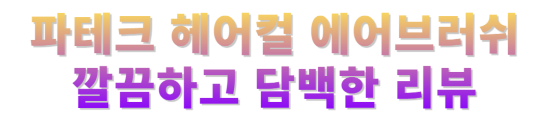 파테크 헤어컬 에어브러쉬 후기