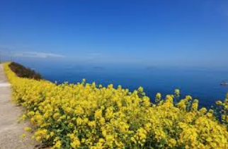 추자도 여행 추천 코스