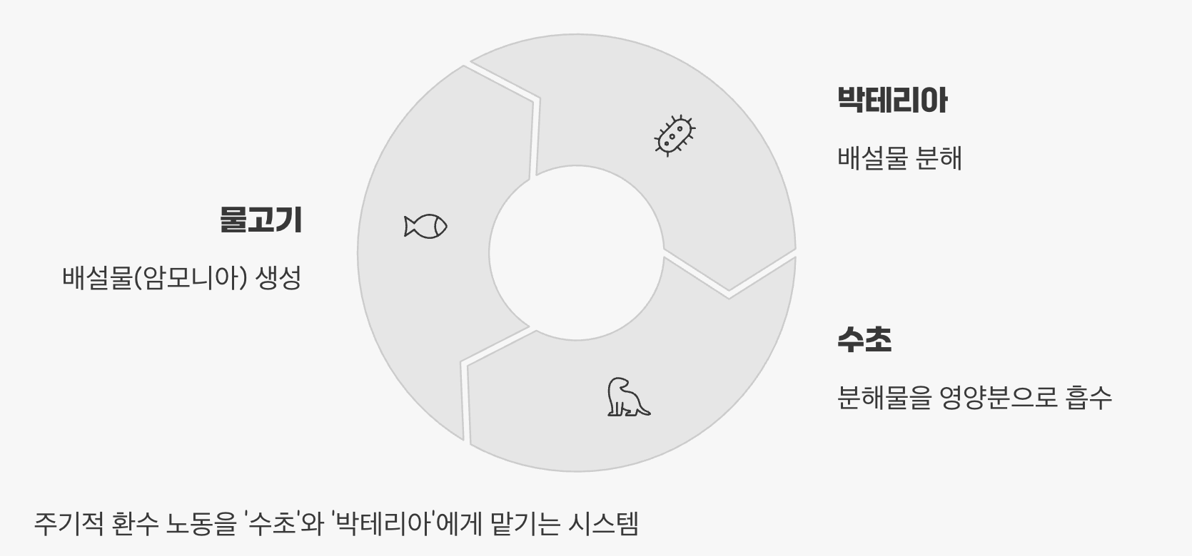 환수 없는 어항, 정말 가능할까?