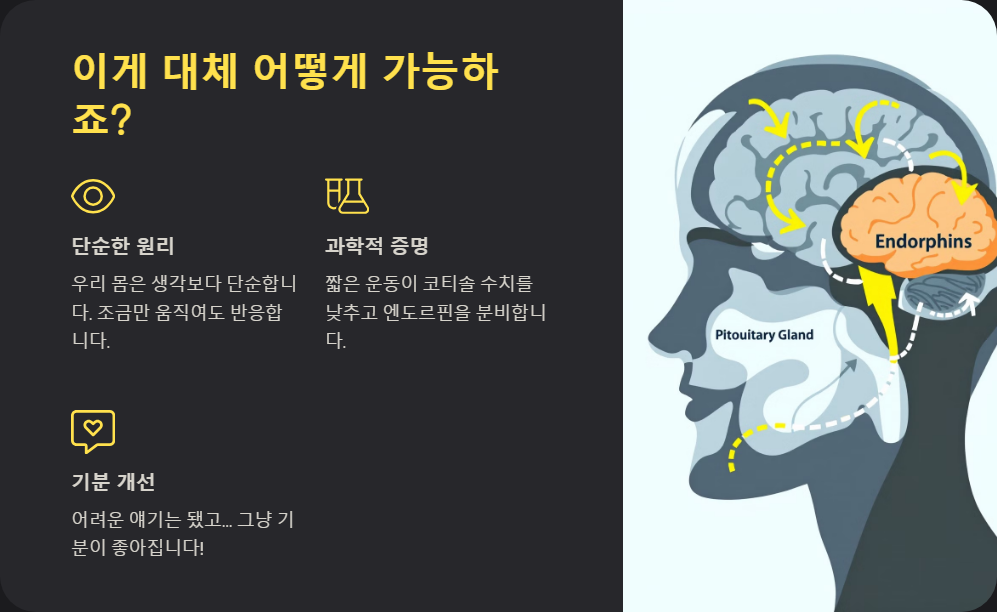 건강한 직장인 생활, 하루 10분 투자로 몸이 바뀐다