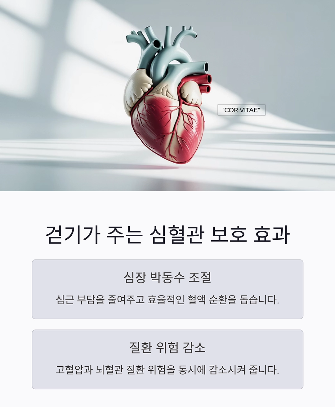 걷기 운동만으로 혈압 낮추는 과학적 비밀 공개