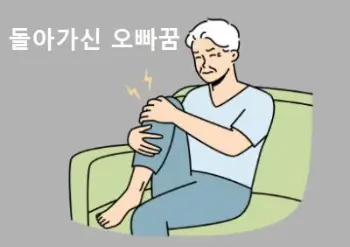 돌아가신 오빠가 나오는 꿈