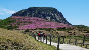 제주한달살기 준비물