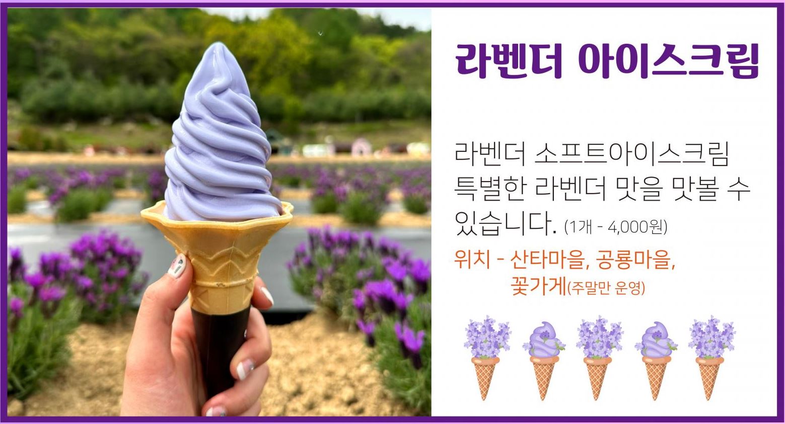 포천 허브아일랜드 라데봄축제