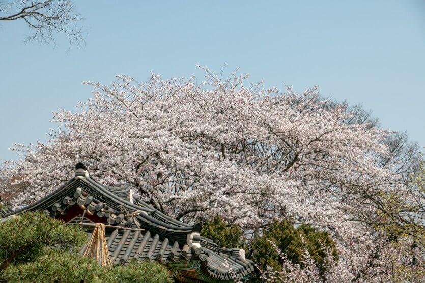 전등사 템플스테이