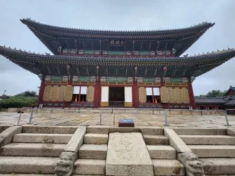 창덕궁 봄 꽃 개화 시기 근처 맛집 10선_13