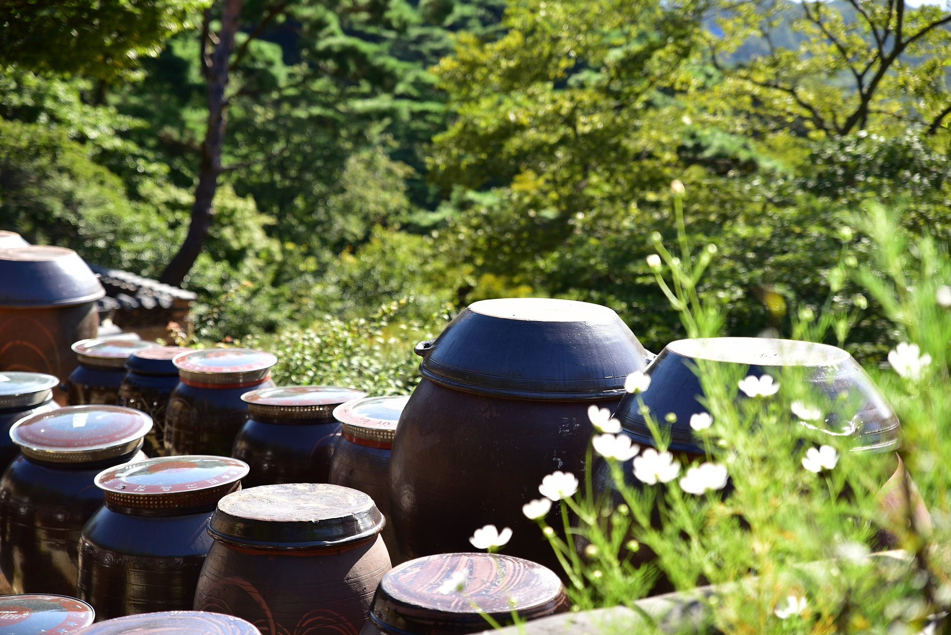 장독대