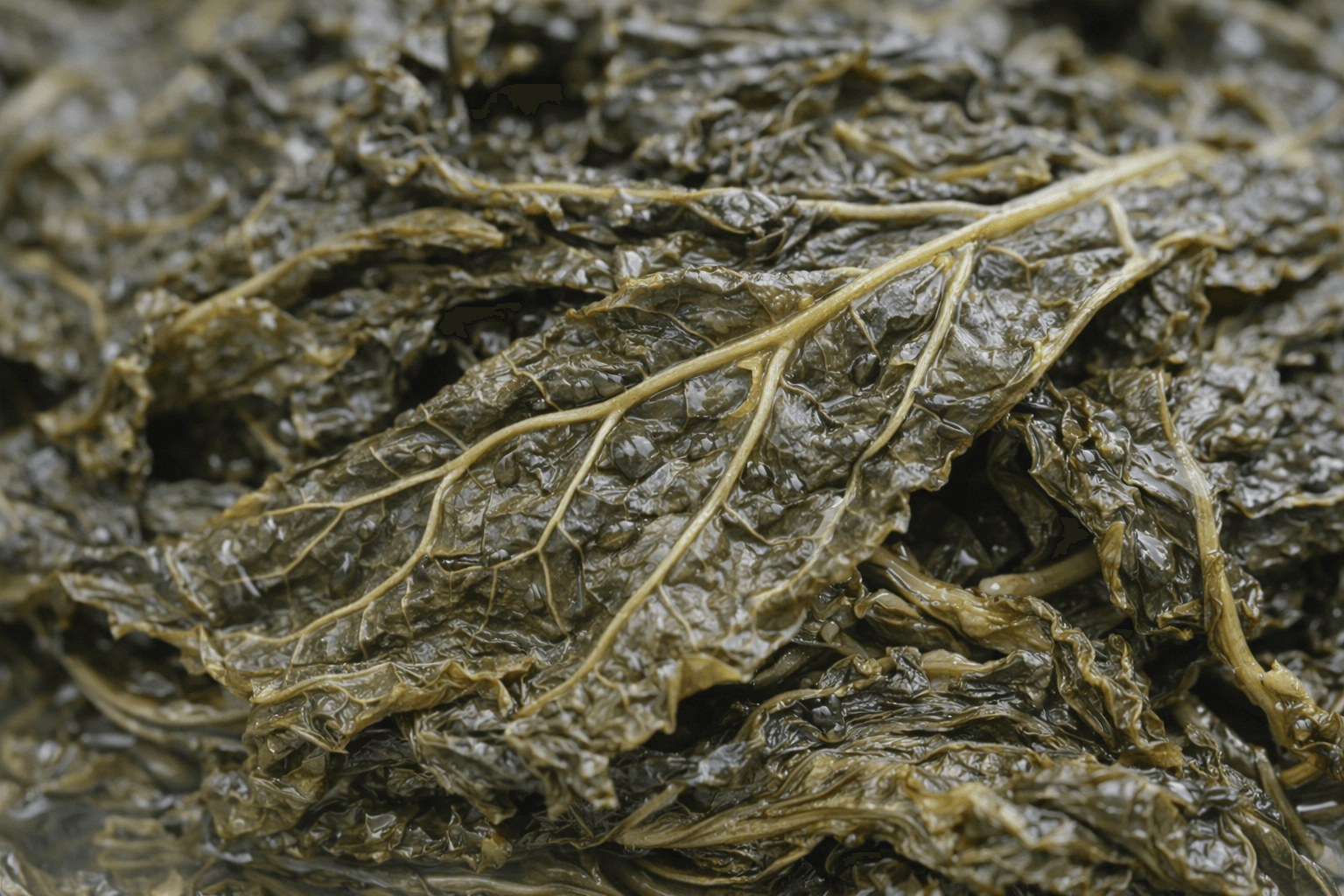 아주까리잎의 엽록소 – 체내 정화 시스템의 열쇠