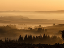 우리 아이 키 성장 솔루션