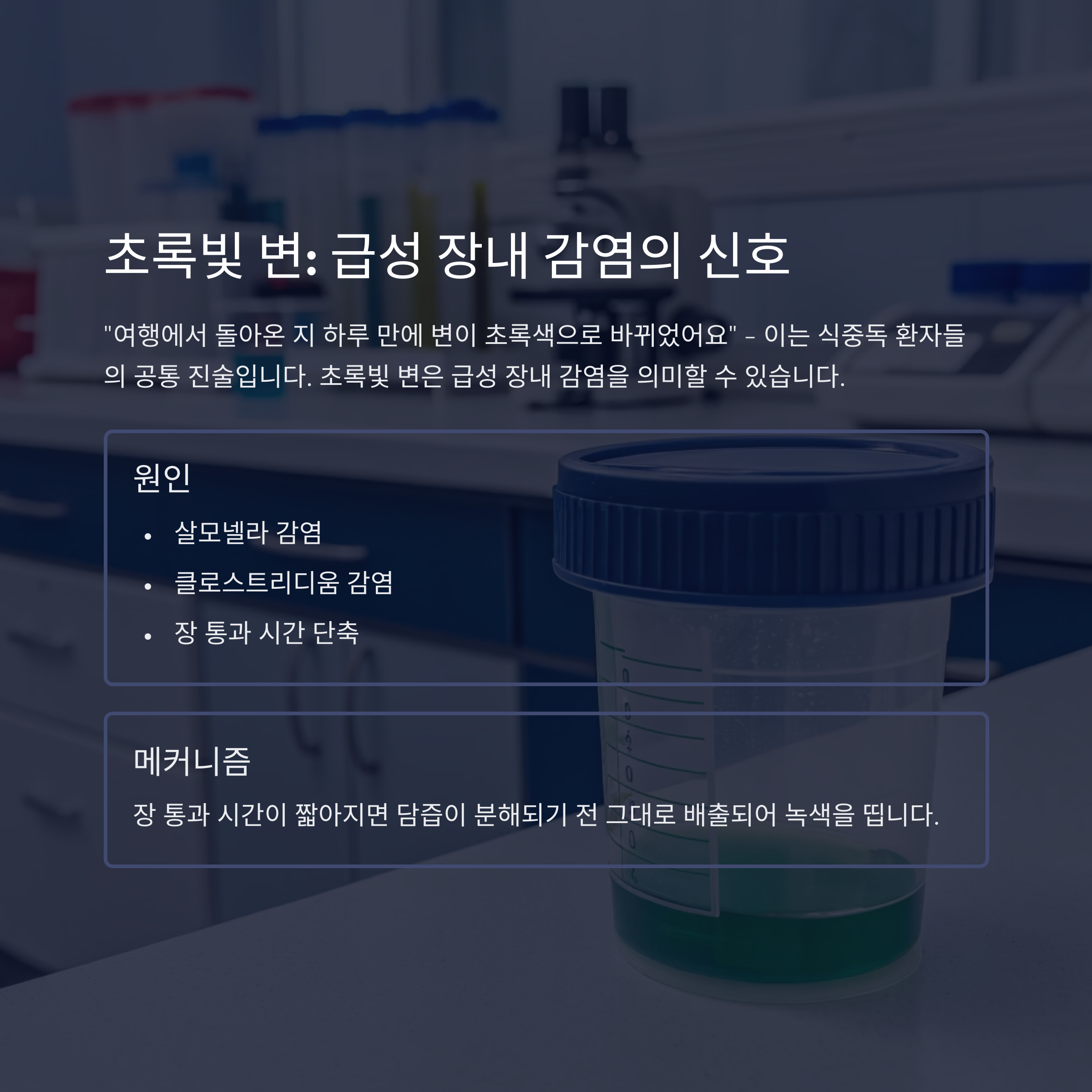 초록변 급성장염