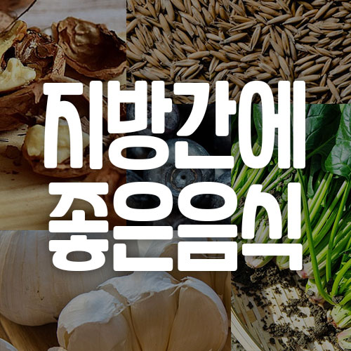 지방간에 좋은 음식