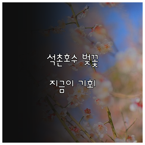 서울 송파구 3월 나들이 명소 및 석..