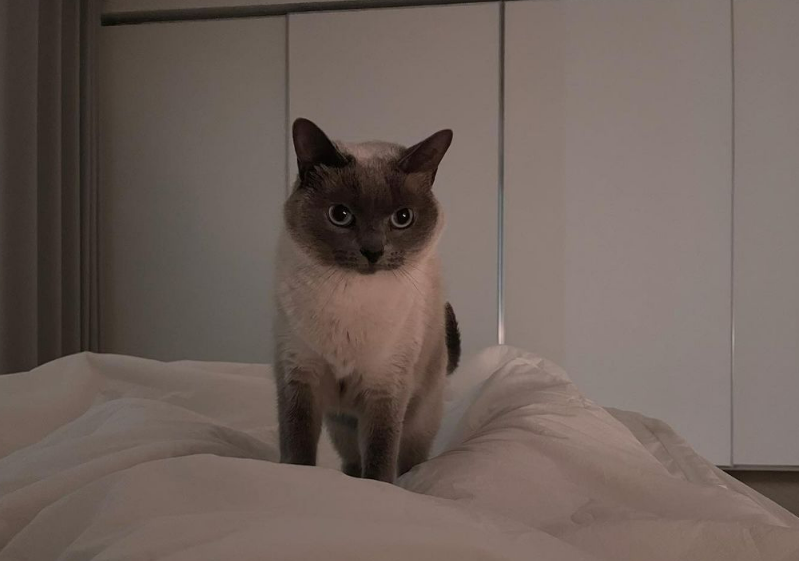 김수지 아나운서 05