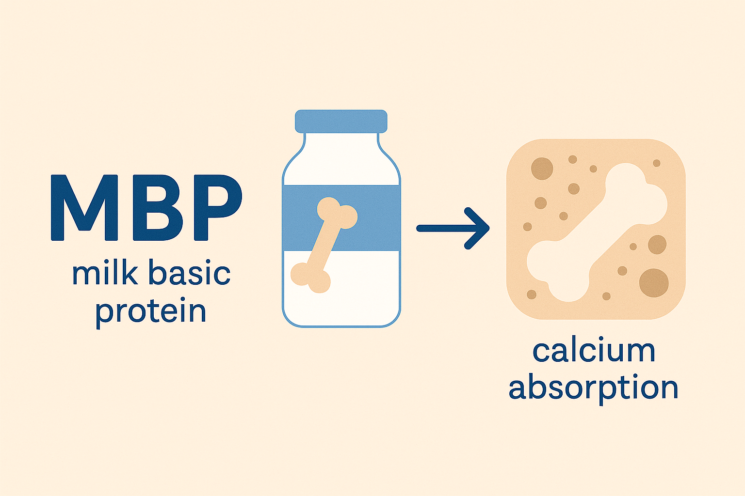 칼슘 영양제, MBP가 들어가야 진짜입니다