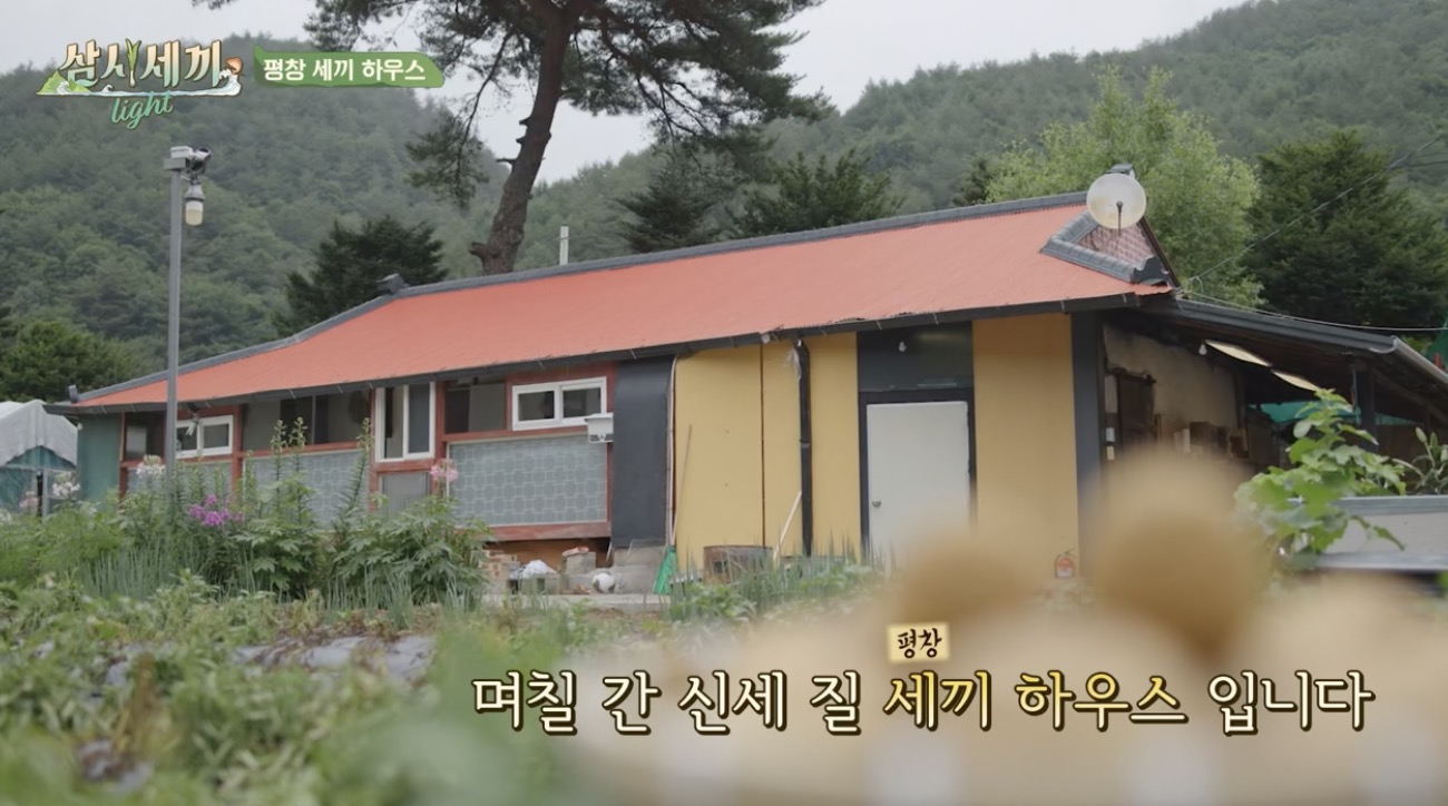 삼시세끼 어촌편 시즌6 촬영지 장소 위치 임영웅 삼시세끼 라이트 시청률