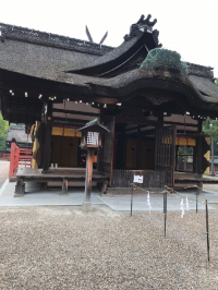 오사카 여행지 추천 스미요시 다이샤