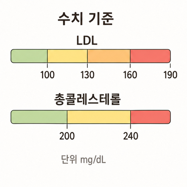 콜레스테롤 수치 기준, LDL 100과 130, 160, 190 눈금과 총콜레스테롤 200, 240 눈금을 표시한 막대그래프